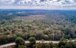 0 Locklear Rd. Road, Petal, MS 39465