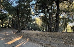 722 Mojave River Road, Cedarpines Park, CA 92322