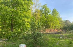 4421 Leeco Rd, Wendover, KY 41775