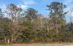 120 Rough Horn Road, Evergreen, NC 28438