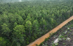 2 Red Rock Road, Robeline, LA 71469