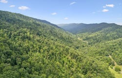 8075 Snake Hollow Rd, Sneedville, TN 37869