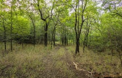 30 Acres Refuge Road, Sherman, TX 75092