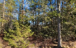 Lot 57.1 Yulan-Barryville Rd, Highland, NY 12791
