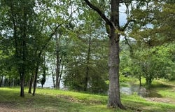 83 Dawn Circle, Galena, MO 65656