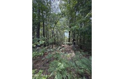 Hillcrest Drive, Hampton, SC 29924