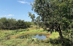 0000 Proffitt Road, Newcastle, TX 76372