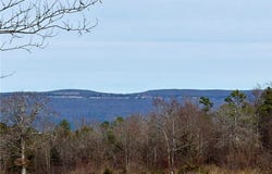17430 Forest Rd 18, Havana, AR 72842