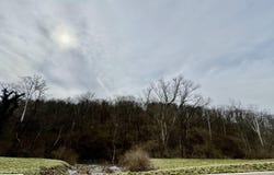 1915 Bromley Crescent Springs Road, Fort Mitchell, KY 41017