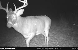 Elk Creek Road, Viola, WI 54664