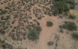 TBD, Safford, AZ 85546