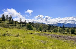 44 MOONLIGHT DR, CURLEW, WA 99118