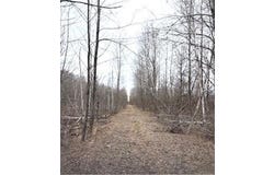 Tbd 450th Street, Fleming Twp, MN 55760