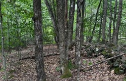 M13 L18-b Fish Road, Anson, ME 04911