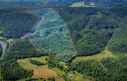 131 Gibson Hollow Road, Eidson, TN 37731