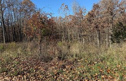 TBD Berwick  LN, Bella Vista, AR 72714