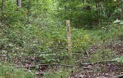 Helens Run Road, Worthington, WV 26591