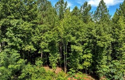 5310 Langdon Drive, Oxford, NC 27565