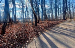 2650-2652 BAUMGARDNER ROAD, WESTMINSTER, MD 21158