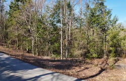 Lot 9 Loki Pass, London, KY 40741