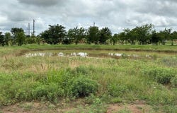 101 Paradise Ranch Road, Gordonville, TX 76245