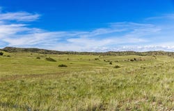 Gateway Drive, Livingston, MT 59047