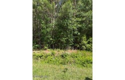 Beattys Bridge Road, Atkinson, NC 28421