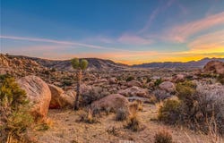53362 Coyote Road, Pioneertown, CA 92268