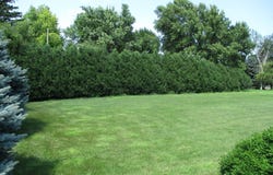 704 7th Street, Ireton, IA 51027