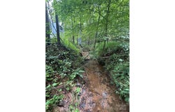 310 Walnut Grove Drive, Nebo, NC 28761