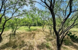 Morris Sheppard Drive lot: 6, Brownwood, TX 76801