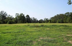 1531 RANKIN ST, Ashdown, AR 71822