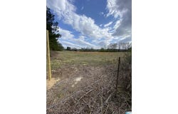 4474 CAMP COLEMAN ROAD, TRUSSVILLE, AL 35173