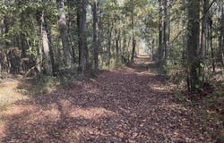 Sulpher Springs rd, Pine Bluff, AR 71603