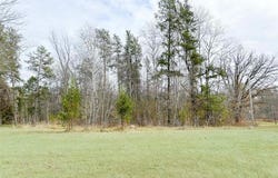 14320 Buley Avenue, Oak Lawn Twp, MN 56401