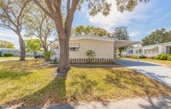 317 Lakeview Drive, Osteen, FL 32764