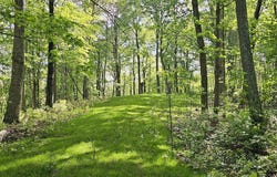 0 Ervin Hill Rd, Beaver, OH 45613