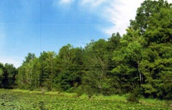 Lot 1014 Holly Drive Loop, Donalsonville, GA 39845