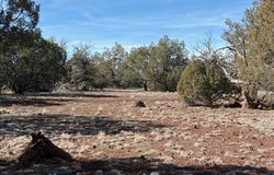 00-D N Dunbar Boulevard, Ash Fork, AZ 86320