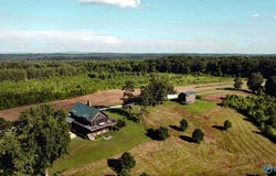 910 +/- Acres, Pell City, AL 35182