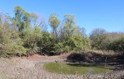 2997 County Road 494, Princeton, TX 75407