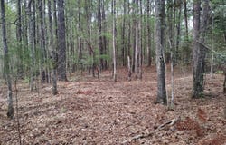 75 Lee, Greenville, GA 30222