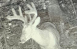 Xxx Oak Point Road NW, Cass Lake, MN 56633