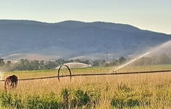 300 Albro Lane, Willow Creek, MT 59760
