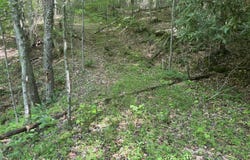 Lot 6b Of Roan Creek Road, Butler, TN 37640