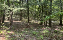 5341 Baseline Road, Grand Junction, MI 49056