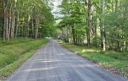 Parcel 100,Lot 1 RABBIT HOLLOW Road, ACCIDENT, MD 21520