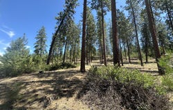 1363 ARTHUR CT, KETTLE FALLS, WA 99141