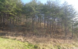6-7 Freeman Branch Road, East Bernstadt, KY 40729