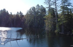 on Wolf Lake Road, Newberry, MI 49868